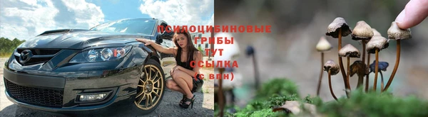 прущие крисы Алексеевка