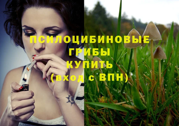 СК Абинск