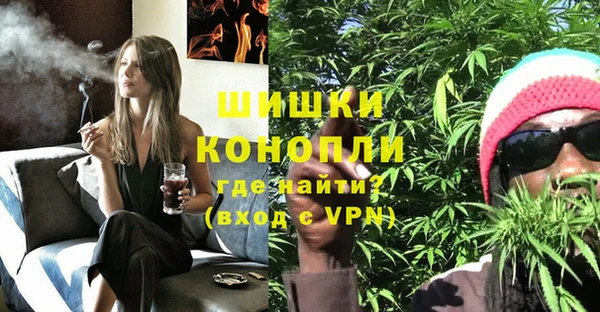 МДПВ Абаза
