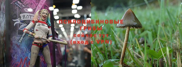 PSILOCYBIN Алзамай