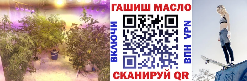 hydra как зайти  Тарко-Сале  Дистиллят ТГК вейп 