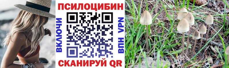 Галлюциногенные грибы Psilocybine cubensis  блэк спрут tor  Тарко-Сале 